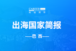 yl23411永利GO GLOBAL | 巴西国家简报