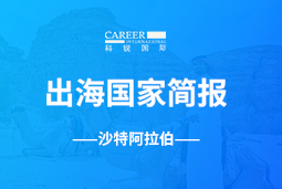 yl23411永利GO GLOBAL | 沙特阿拉伯国家简报